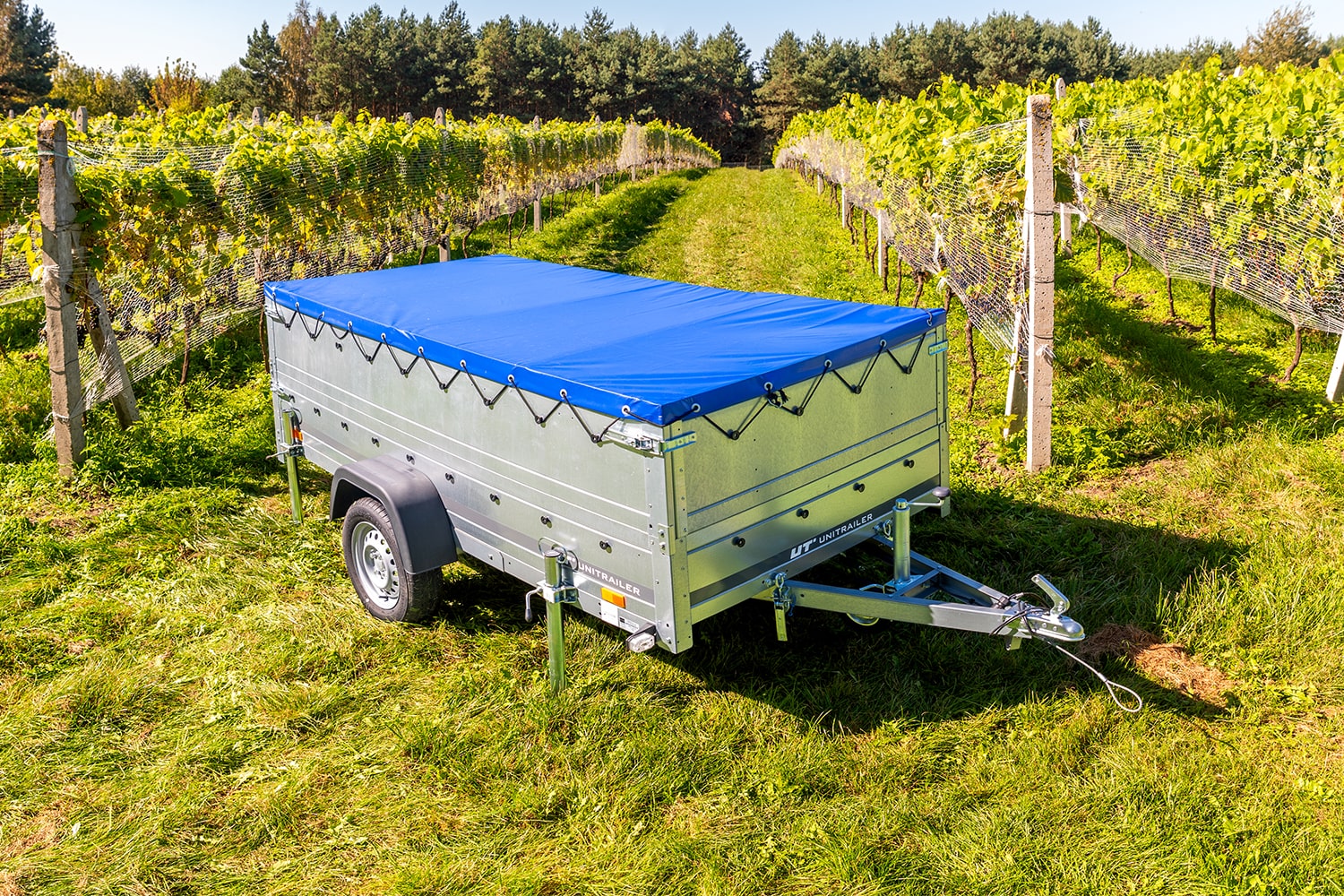 nitrailer-Anhänger mit blauer Flachplane steht an einem sonnigen Tag auf grünem Gras inmitten eines Weinbergs.