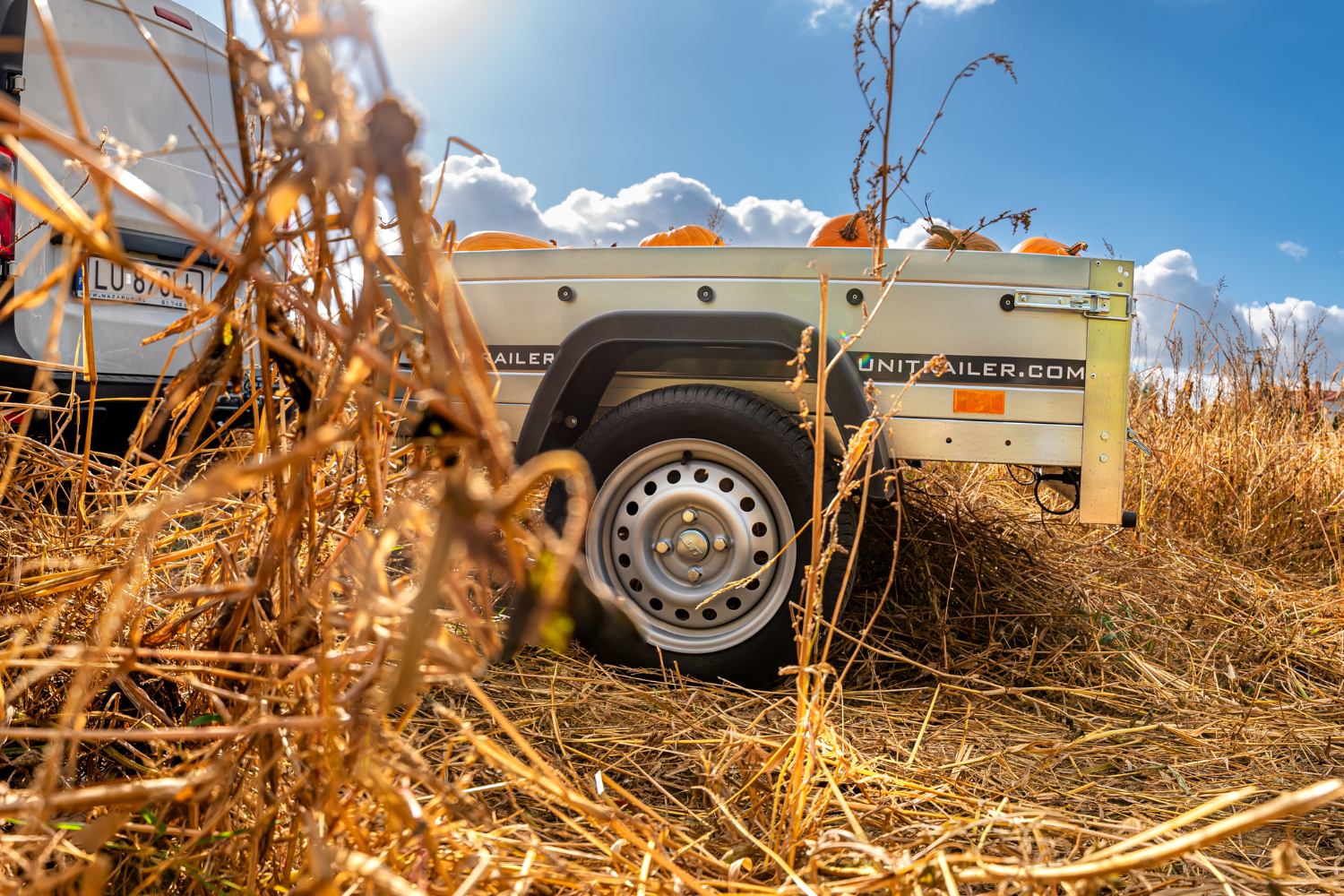 Zugwagen mit Blattfedern oder ohne?