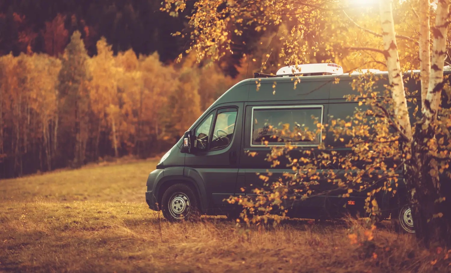 Camper elektrik einbauen lassen kosten