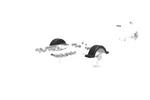 Kotflügel für Bootsanhänger 13" DOMAR D20422 Radlauf 950/240 mm