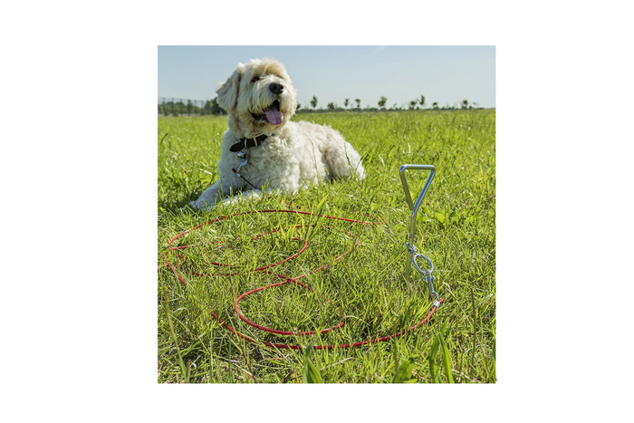 ProPlus 361857 Gurtbefestigungspfosten mit Stahlseil 4,5 m