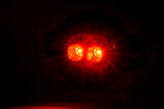 WAŚ W236 LED Nebelschlussleuchte, universal