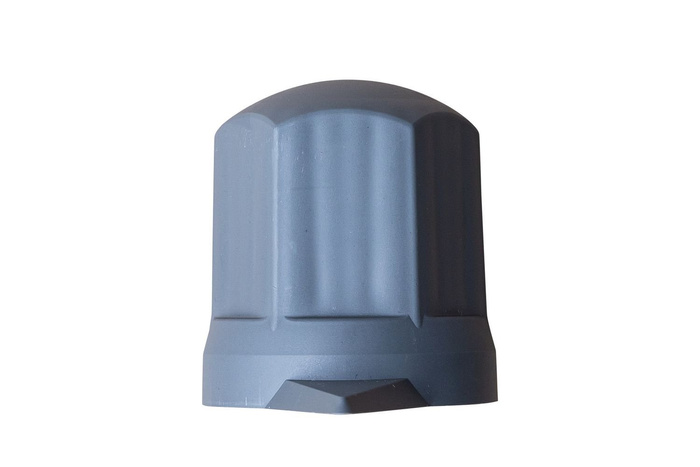 Graue Schraubenabdeckung F33