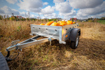 Kleiner Anhänger Garden Trailer 150 KIPP 150x106 cm 750kg