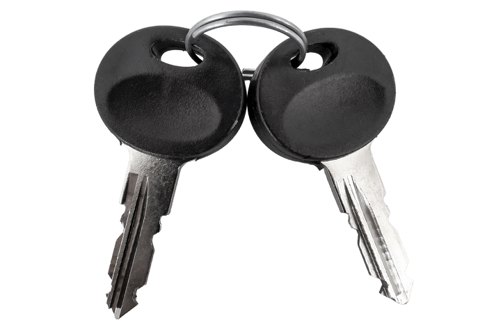 Traxer-Schlüssel 2030 (2 Stück)