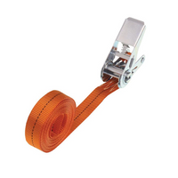 HILLS 5 m/25 mm/1 t einteiliger Riemen mit Spannvorrichtung