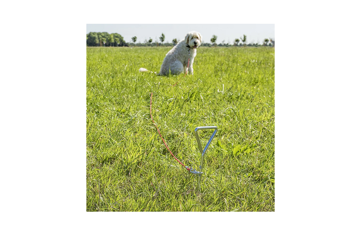 ProPlus 361857 Gurtbefestigungspfosten mit Stahlseil 4,5 m