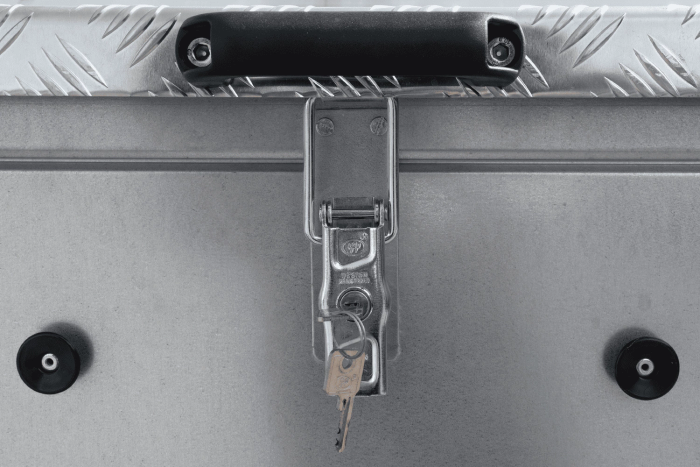 Leichtanhänger auf Federn 200x125 UNITRAILER GARDEN 201/R KIPP mit BIS-Seiten und Aluminiumabdeckung