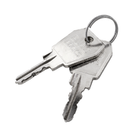 Carver-Schlüssel 25020 (2 Stück)